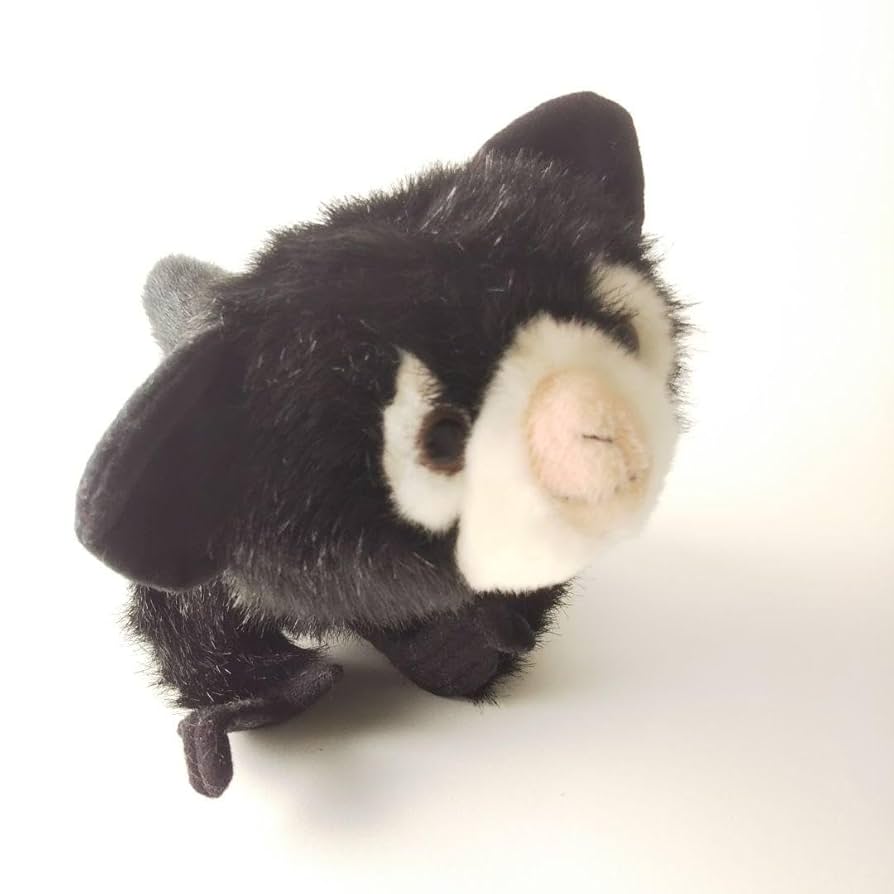 アイアイ 上野動物園 ぬいぐるみ 廃盤品 51XT+ttAK9L._UF894,1000_QL80_.jpg